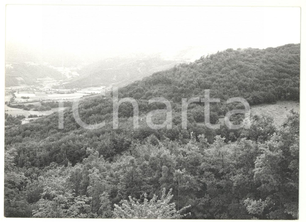 Fotografia d epoca originale 1979 FORCA DELLA CIVITA PG Veduta dei boschi Fotografia VINTAGE 18x13 cm 1