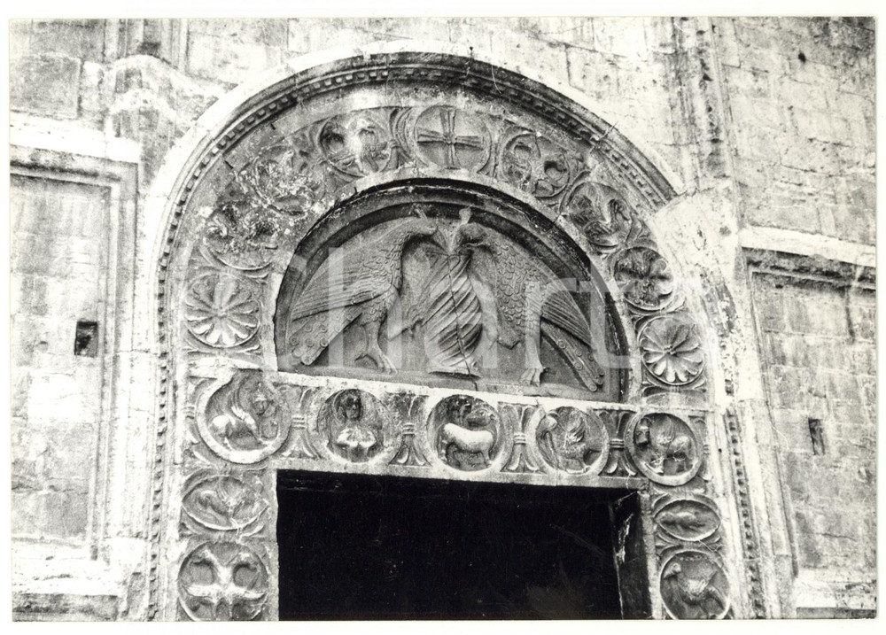 Fotografia d epoca originale 1979 ASSISI Cattedrale di SAN RUFINO  Lunetta con uccelli Foto VINTAGE 18x13 1