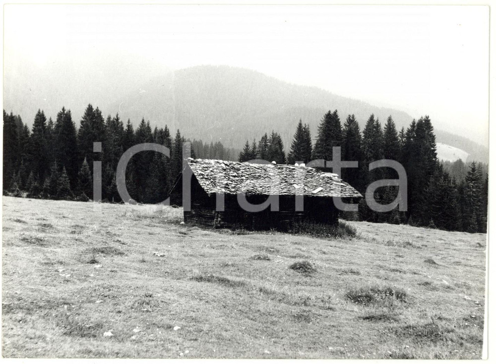 Fotografia d epoca originale 1979 VAL VISDENDE BL Caratteristica baita di montagna Foto VINTAGE 18x13 cm 1