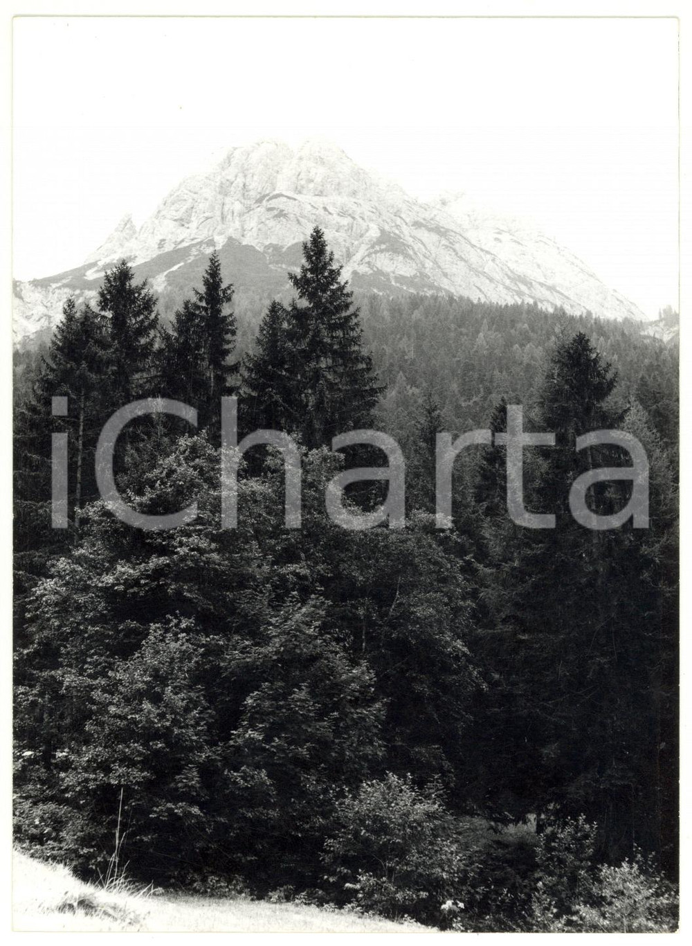 Fotografia d epoca originale 1979 PASSO DELLA MAURIA BL Veduta panoramica Fotografia VINTAGE 13x18 cm 1