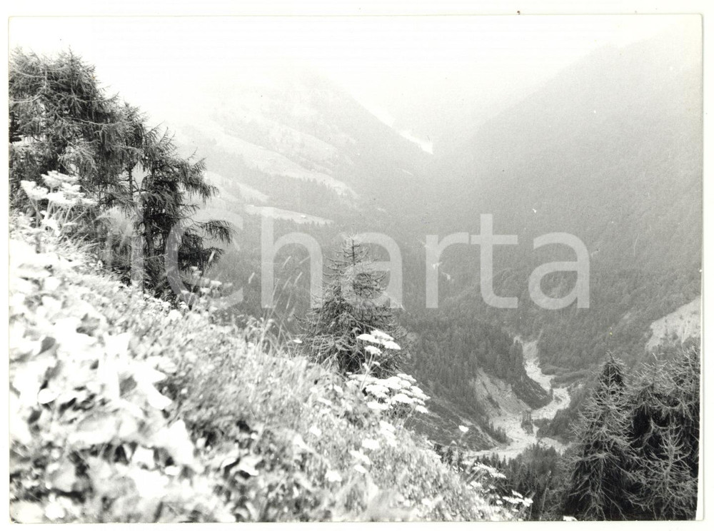 Fotografia d epoca originale 1979 SELLA DI RAZZO BL Veduta panoramica Fotografia ARTISTICA 18x13 cm 1
