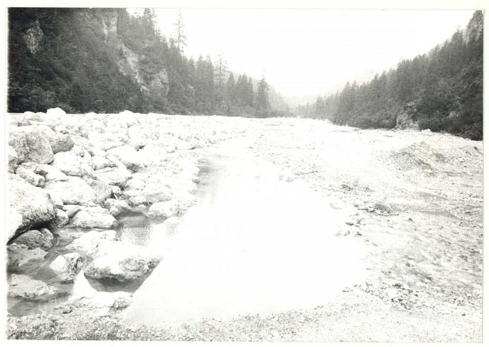 Fotografia d epoca originale 1979 VAL FRISON BL Veduta del torrente alpino FRISON Fotografia VINTAGE 18x13 1