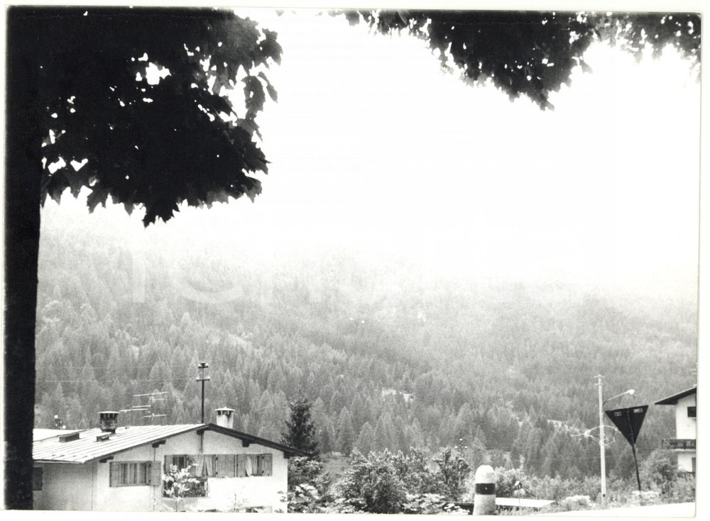 Fotografia d epoca originale 1979 BORCA DI CADORE BL Veduta panoramica Foto VINTAGE 18x13 cm 1