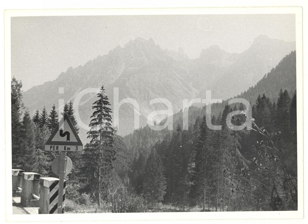 Fotografia d epoca originale 1971 LORENZAGO DI CADORE BL Veduta panoramica dal Passo della Mauria Foto 1