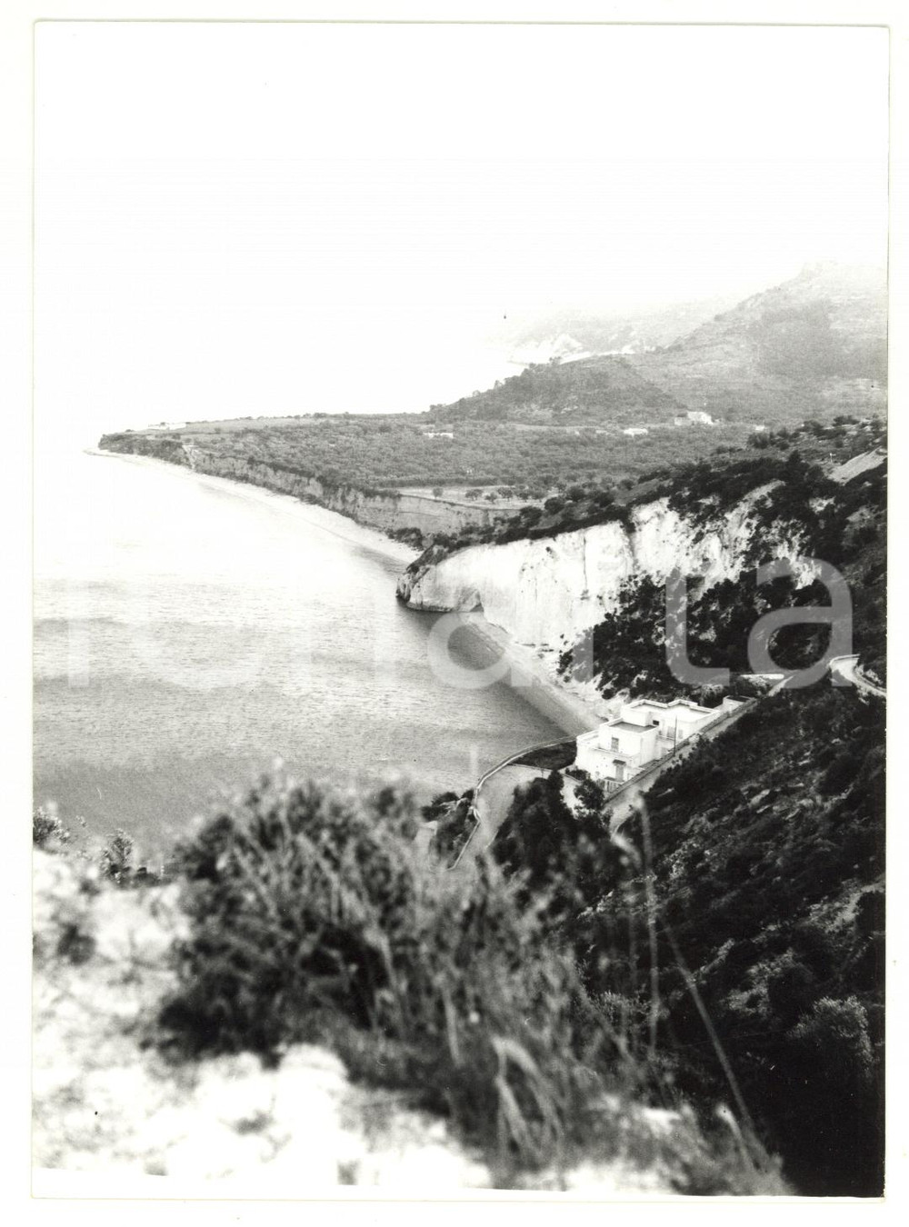 1979 GARGANO (FG) Veduta panoramica del golfo - Foto ARTISTICA 13x18 cm