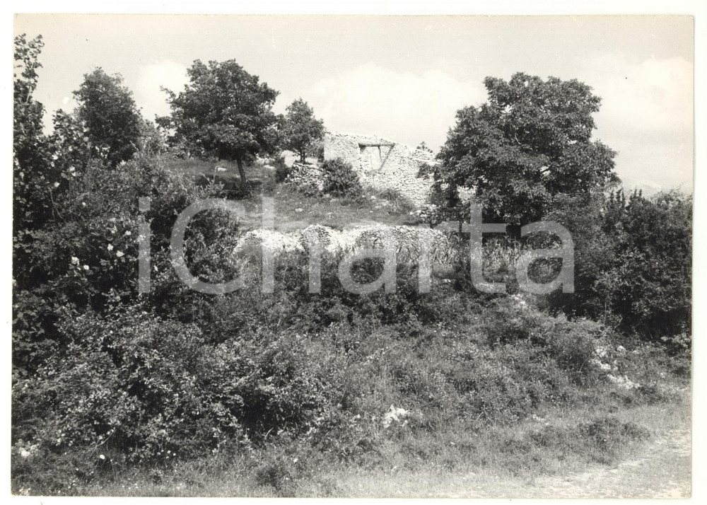 1976 ARCINAZZO ROMANO Scorcio di un paesaggio naturale - Foto 18x13 cm