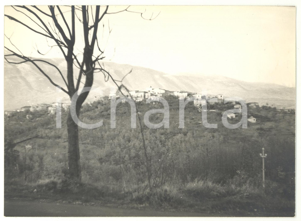 1974 VEROLI - COLLEBERARDI (FR) Distesa di boschi verso il paese *Foto 18x13
