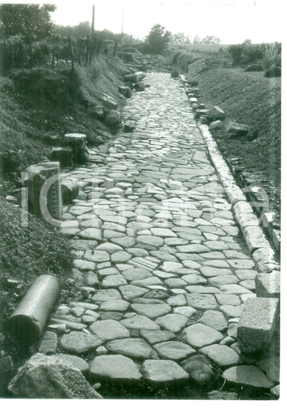 Fotografia d epoca originale 1979 AQUILEIA Via POSTUMIA antica strada consolare romana Foto VINTAGE 13x18 1