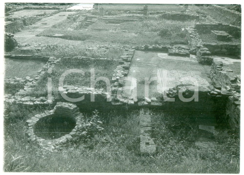 Fotografia d epoca originale 1979 AQUILEIA Area archeologica di case romane e oratori paleocristiani Foto 1