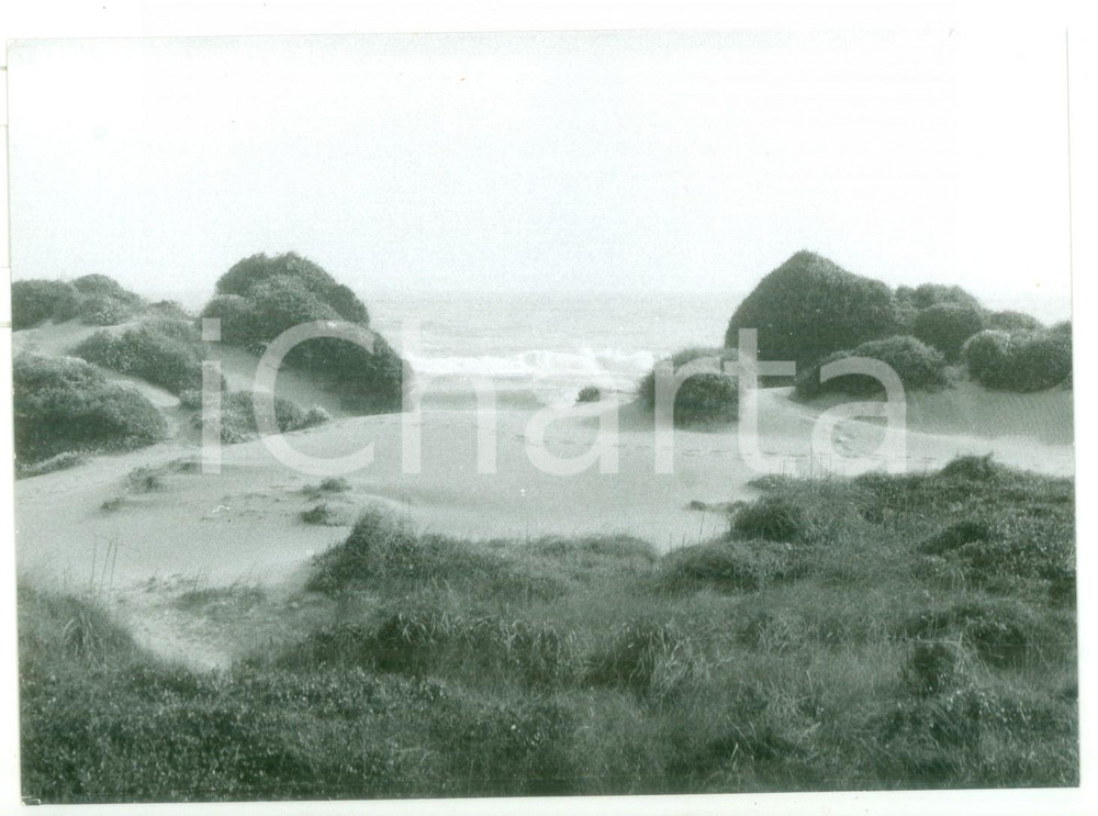 Fotografia d epoca originale 1981 LITORALE LAZIALE Orme sulla sabbia Foto ARTISTICA 18x13 cm 1