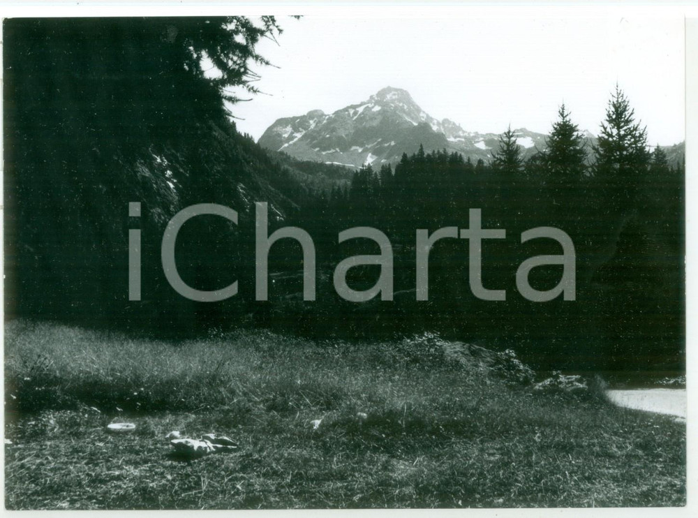 Fotografia d epoca originale 1978 LA THUILE Veduta dei boschi di larici Foto VINTAGE 18x13 cm 1