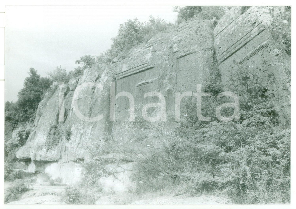 Fotografia d epoca originale 1981 VETRALLA Necropoli di NORCHIA  Parete di tufo Fotografia VINTAGE 18x13 1