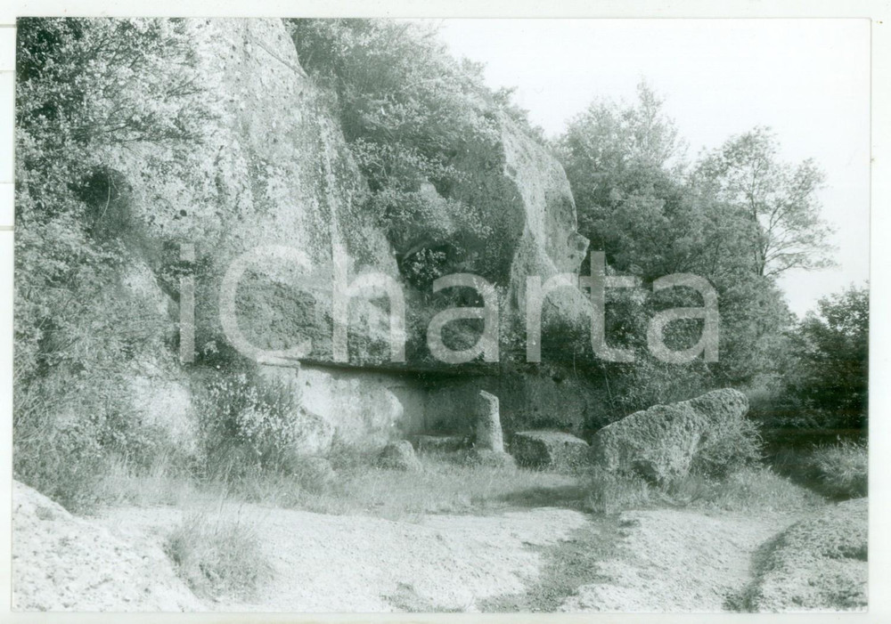1981 VETRALLA Necropoli di NORCHIA - Tomba scavata nel tufo *Foto VINTAGE 18x13