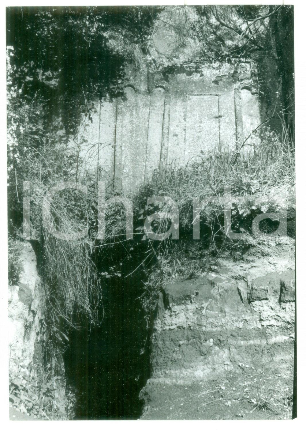 Fotografia d epoca originale 1981 VETRALLA Necropoli di NORCHIA  Ingresso di una tomba etrusca Foto 18x13 1