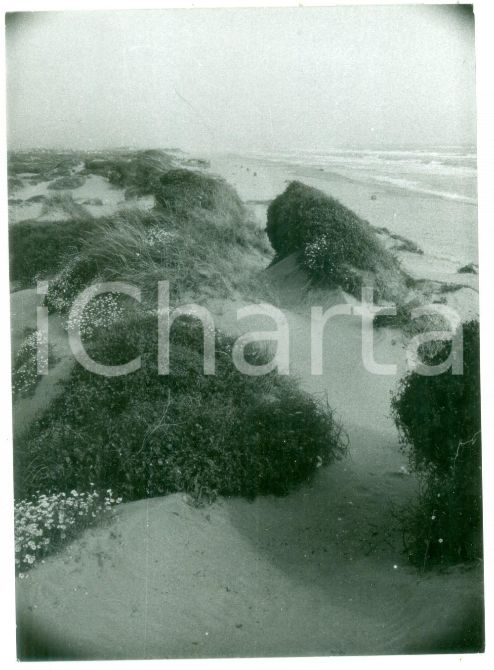 Fotografia d epoca originale 1981 LITORALE LAZIALE Caratteristico paesaggio marittimo Foto VINTAGE 13x18 cm 1