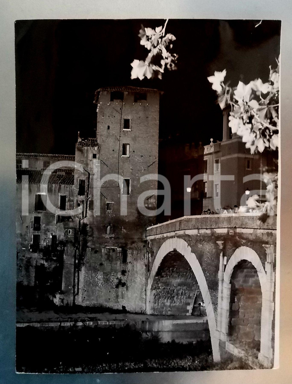 Fotografia d epoca originale 1979 ROMA Isola Tiberina  Veduta notturna PONTE FABRICIO  Foto VINTAGE 30x40 1