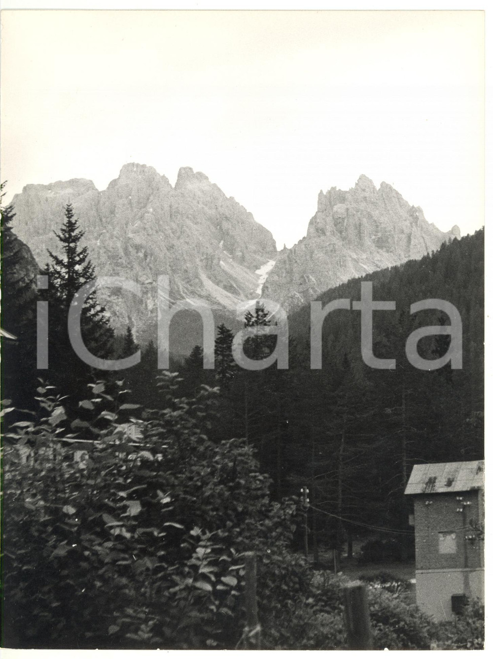 Fotografia d epoca originale 1979 CARBONIN BZ Veduta del MONTE CRISTALLINO Fotografia VINTAGE 18x24 1