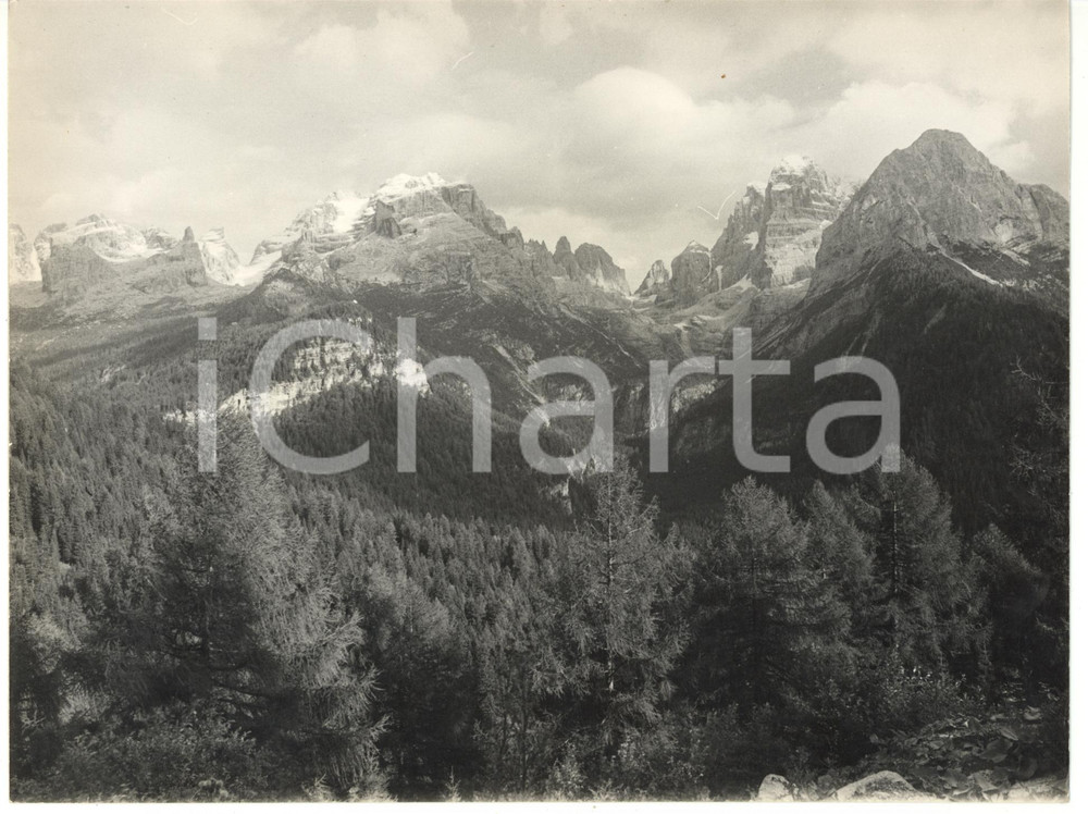 Fotografia d epoca originale 1979 MADONNA DI CAMPIGLIO Veduta del GRUPPO DEL BRENTA Foto VINTAGE 24x18 1