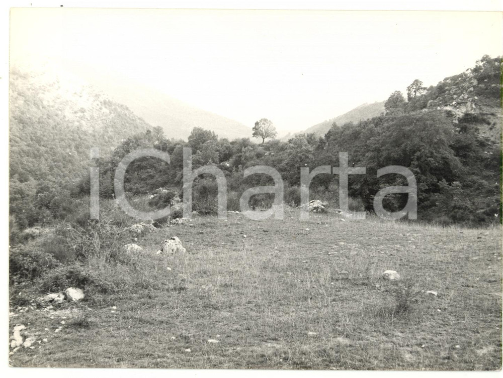 1974 MONTI PRENESTINI Veduta della boscaglia *Fotografia VINTAGE 18x13 cm