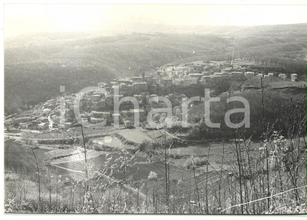 Fotografia d epoca originale 1980 LATERA VT Veduta panoramica della cittÃ  Fotografia VINTAGE 18x13 cm 1