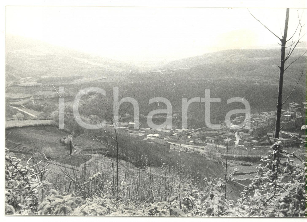 Fotografia d epoca originale 1980 LATERA VT Veduta panoramica Fotografia VINTAGE 18x13 cm 1