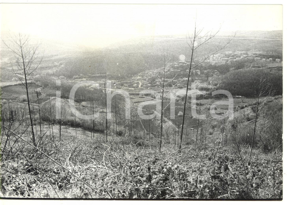 1980 LATERA (VT) Inverno nella vallata *Fotografia VINTAGE 18x13 cm