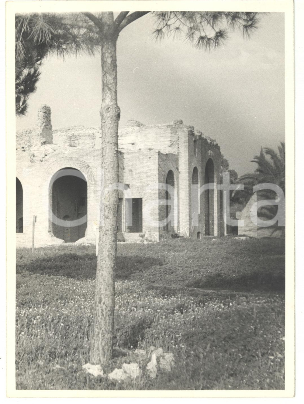 Fotografia d epoca originale 1972 ROMA Scorcio delle Terme di Traiano Fotografia VINTAGE 13x18 cm 1