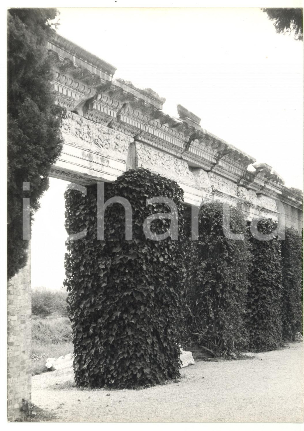 Fotografia d epoca originale 1979 AQUILEIA Capitelli romani lungo la Via Sacra Foto VINTAGE 13x18 cm 1