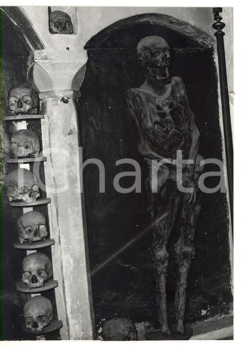Fotografia d epoca originale 1980 URBANIA MC Chiesa dei Morti  Mummia dietro l altare  Foto 13x18 cm 1