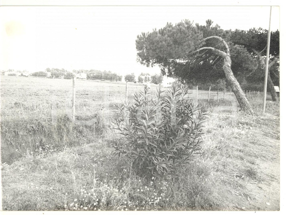 Fotografia d epoca originale 1979 MARINA DI TOR SAN LORENZO Veduta della campagna Foto VINTAGE 18x13 cm 1