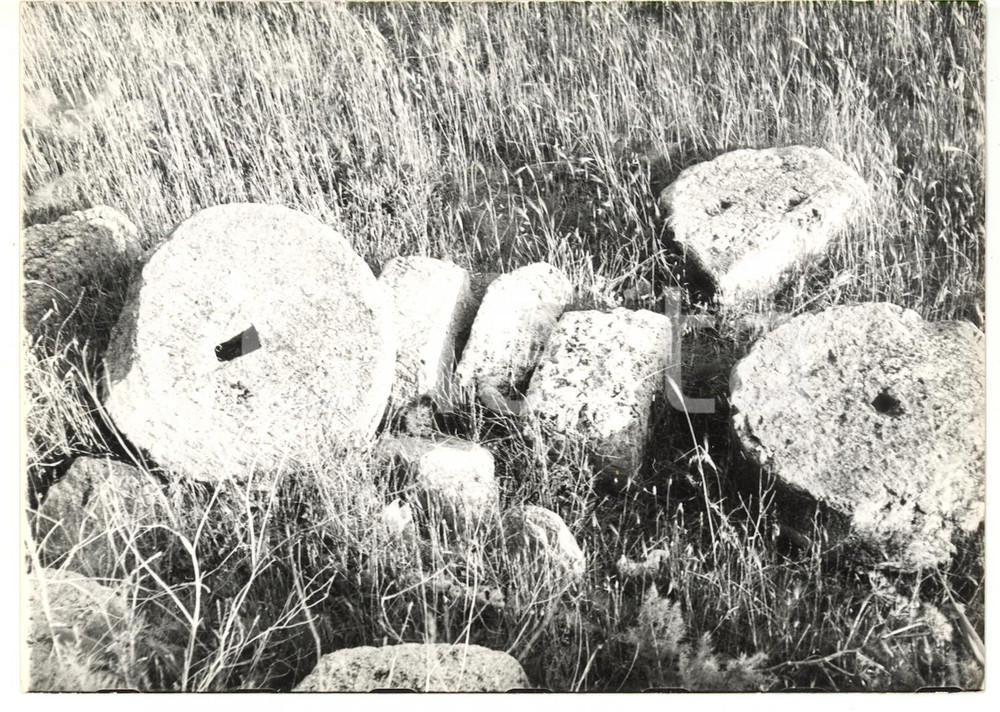 1976 TARQUINIA (VT) Ara della Regina - Resti di un tempio *Foto 18x13 Fotografia con didascalia al verso. CONDIZIONI: G (ma lievi sovraimpressioni)FORMATO: 18x13 cm    originale e autentica 1