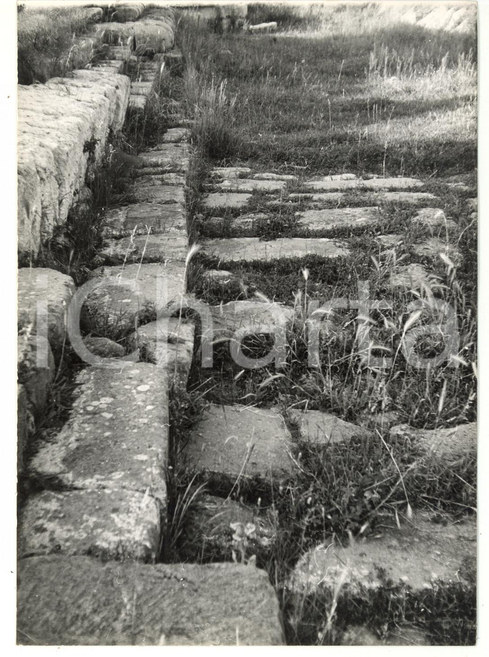 Fotografia d epoca originale 1976 TARQUINIA VT Ara della Regina  Strada romana Foto 13x18 1