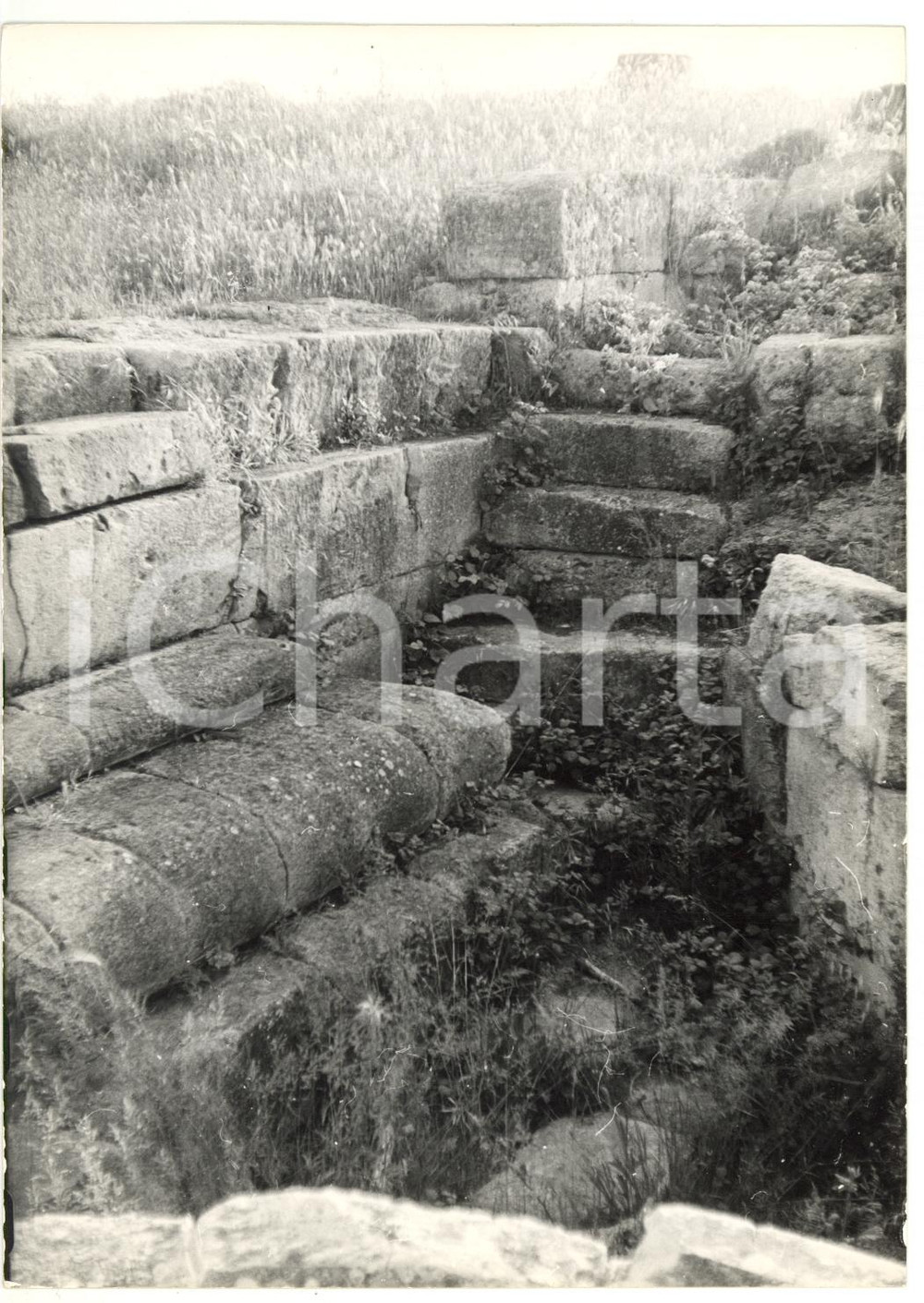 Fotografia d epoca originale 1976 TARQUINIA VT Ara della Regina  Antichi resti  Fotografia 13x18 1