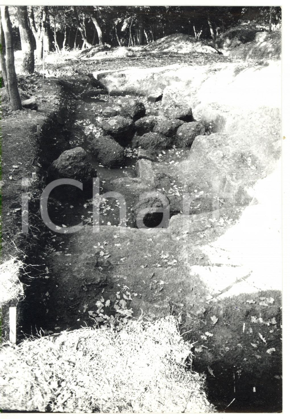 Fotografia d epoca originale 1978 VITERBO  ACQUAROSSA Sito archeologico  Abitazioni etrusche Foto 18x13 1