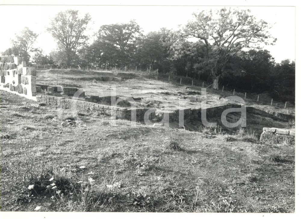 Fotografia d epoca originale 1978 VITERBO Sito archeologico di ACQUAROSSA  Abitato etrusco Foto 18x13 1