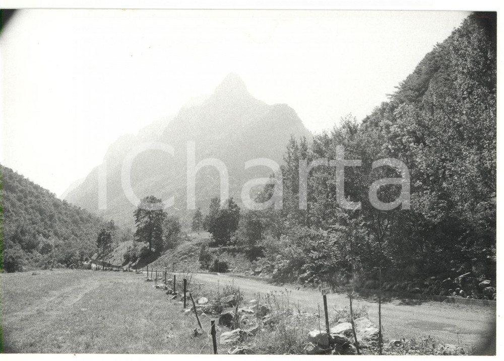 Fotografia d epoca originale 1981 VALLE GESSO DELLA BARRA Veduta del Monte GelÃ s Foto VINTAGE 18x13 cm 1