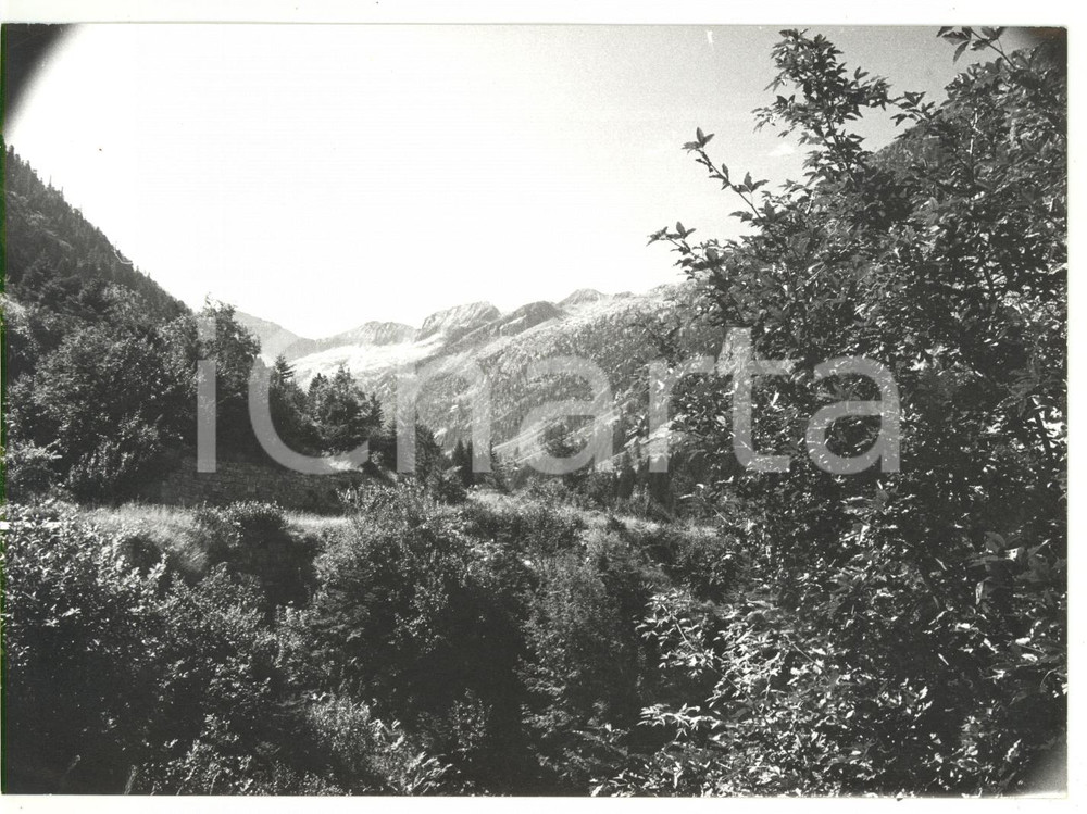 Fotografia d epoca originale 1981 VALLE GESSO DELLA VALLETTA Pian della Casa Foto VINTAGE 18x13 cm 1