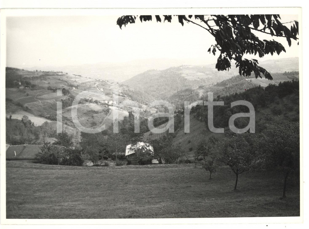 Fotografia d epoca originale 1974 REGIONE DELLE LANGHE Paesaggio collinare Foto VINTAGE 18x13 cm 1