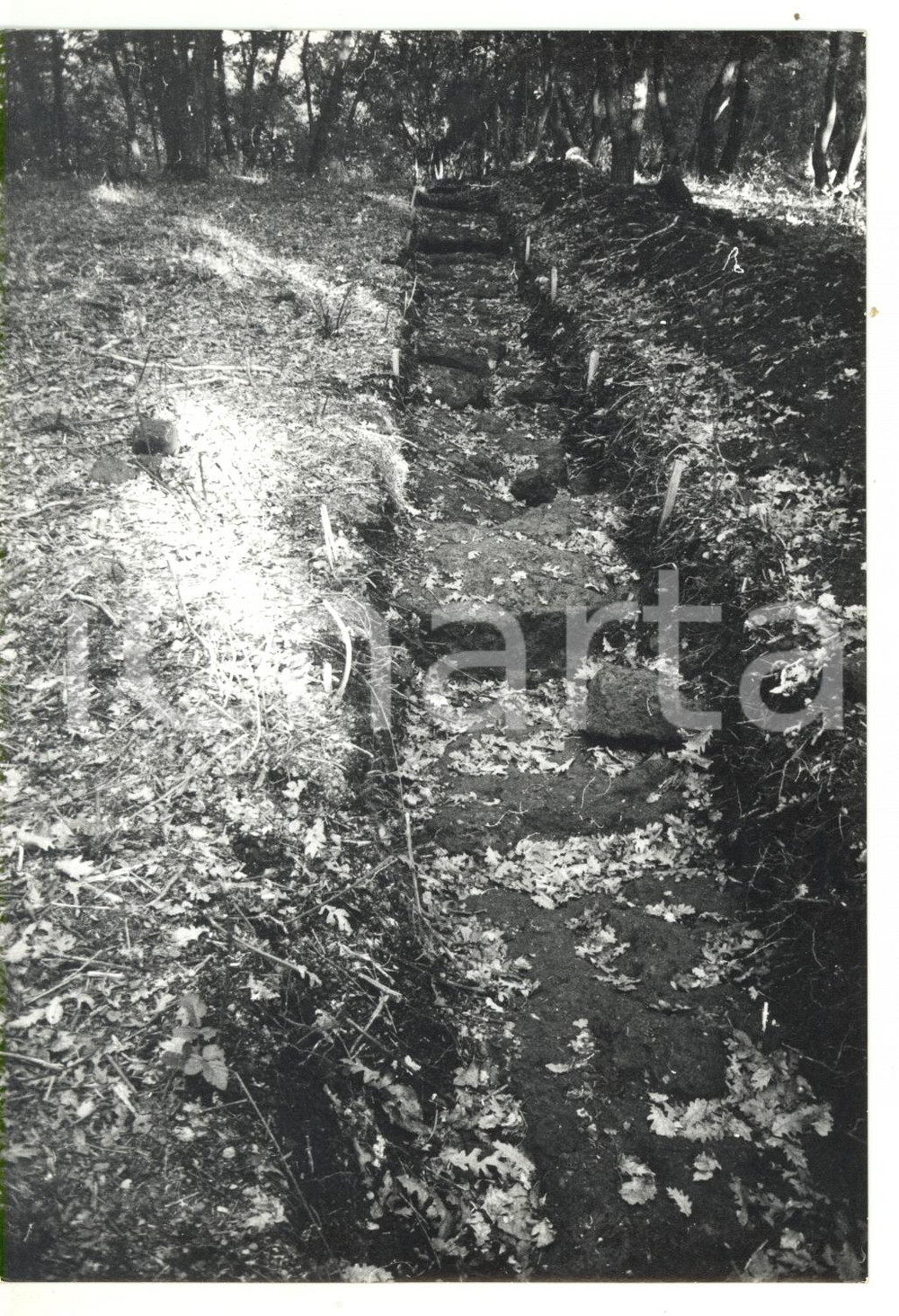 Fotografia d epoca originale 1978 VITERBO Sito archeologico di ACQUAROSSA  Scavi etruschi Foto 13x18 1