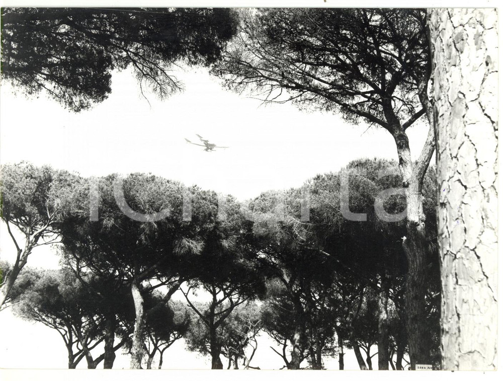 Fotografia d epoca originale 1973 FIUMICINO  FREGENE Aereo in volo supera la pineta Foto VINTAGE 18x13 cm 1
