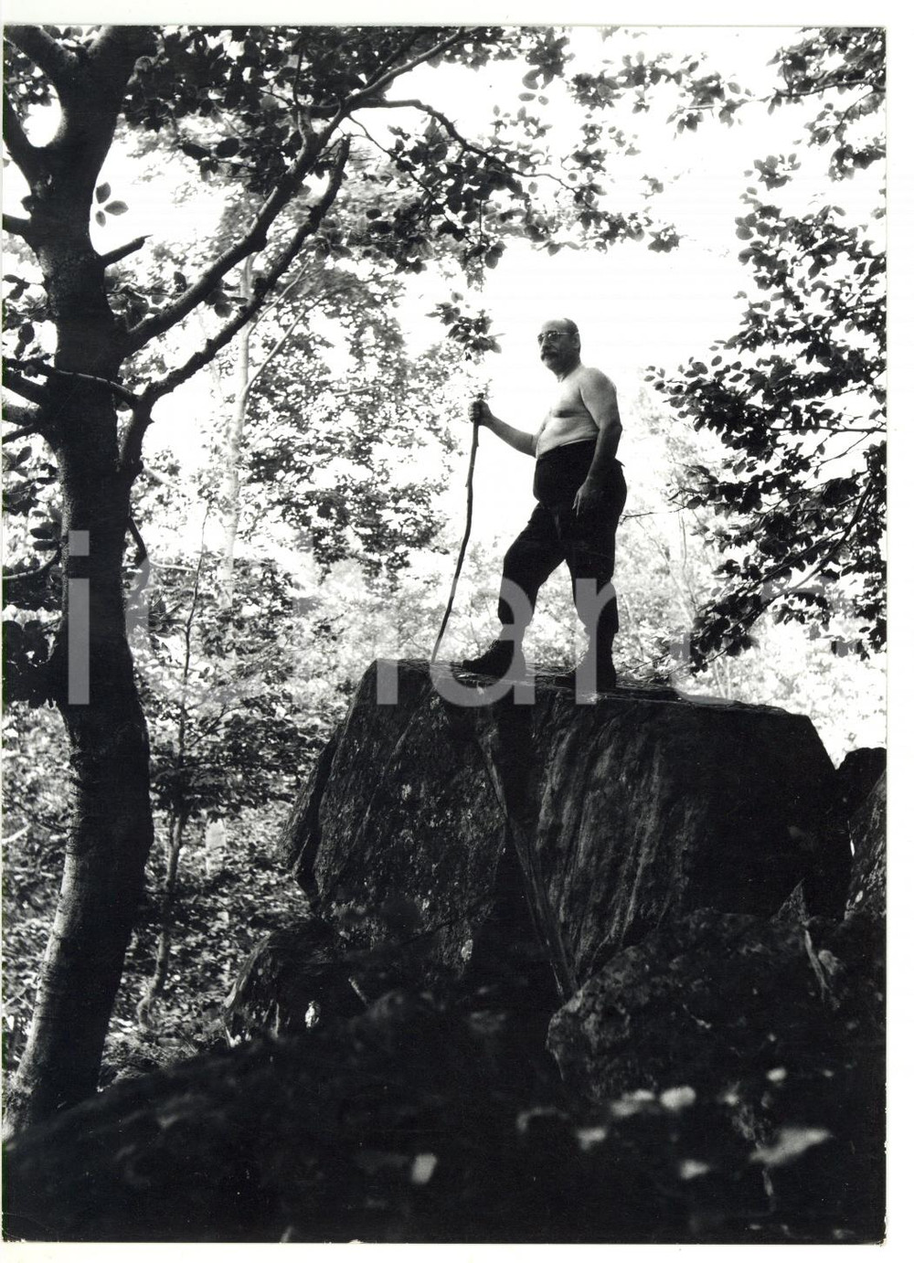 Fotografia d epoca originale 1978 COLLE DEL LIS TO Passeggiata nella foresta Foto VINTAGE 13x18 cm 1