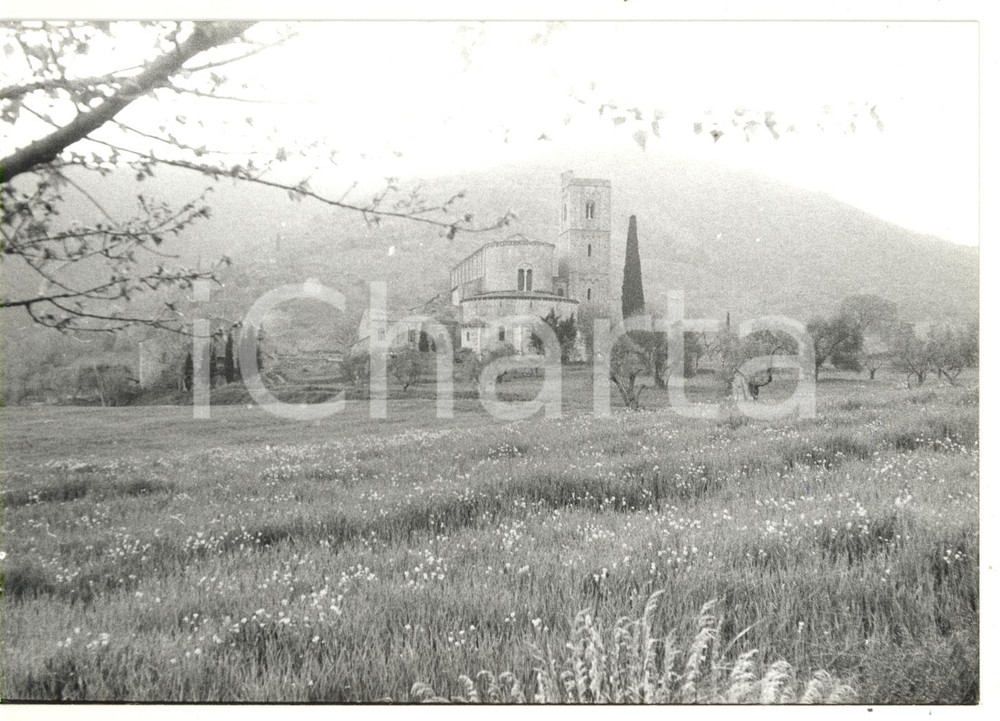 Fotografia d epoca originale 1980 MONTALCINO  CASTELNUOVO DELL ABATE Veduta dell abbazia di Sant Antimo 1