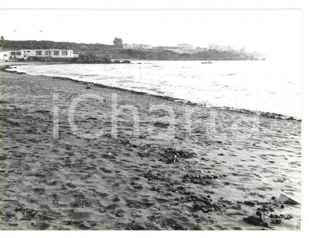 Fotografia d epoca originale 1979 TARQUINIA VT Bagni Sant Agostino  Veduta della spiaggia Foto 18x13 cm 1