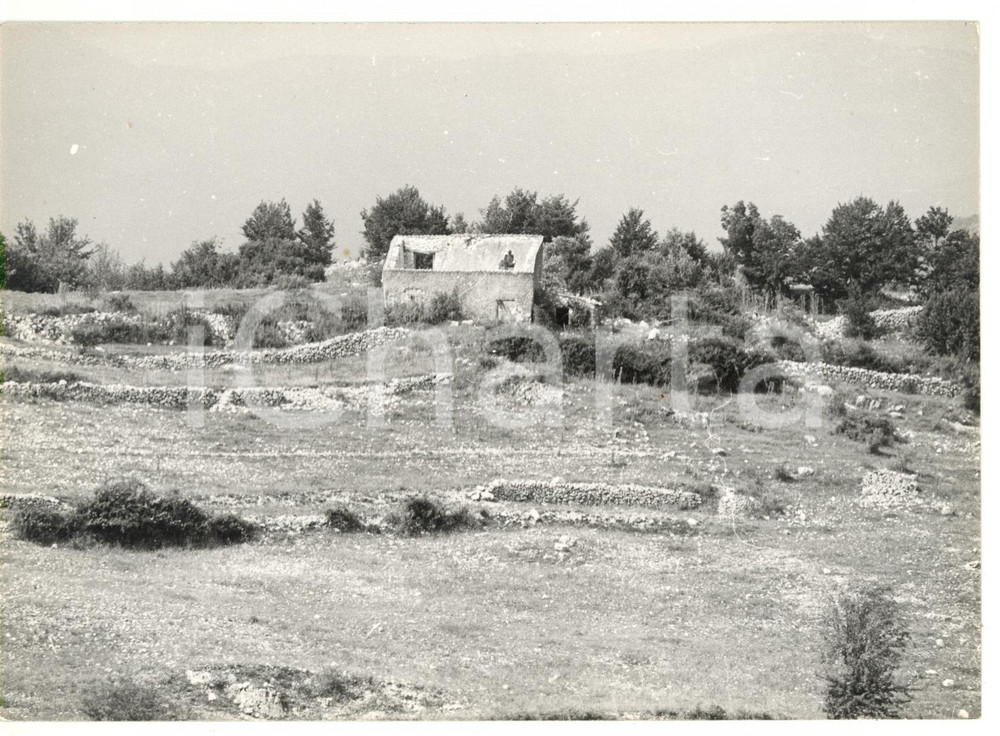 1976 ARCINAZZO ROMANO Veduta di un paesaggio agreste *Foto VINTAGE 18x13