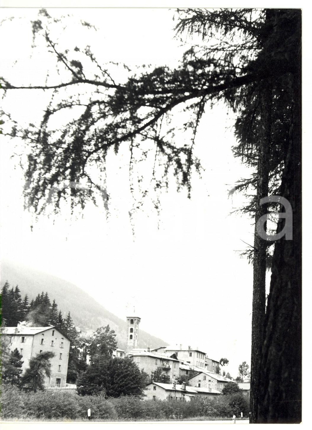 Fotografia d epoca originale 1973 VALDISOTTO  CEPINA SO Scorcio del paese Foto VINTAGE 13x18 cm 1