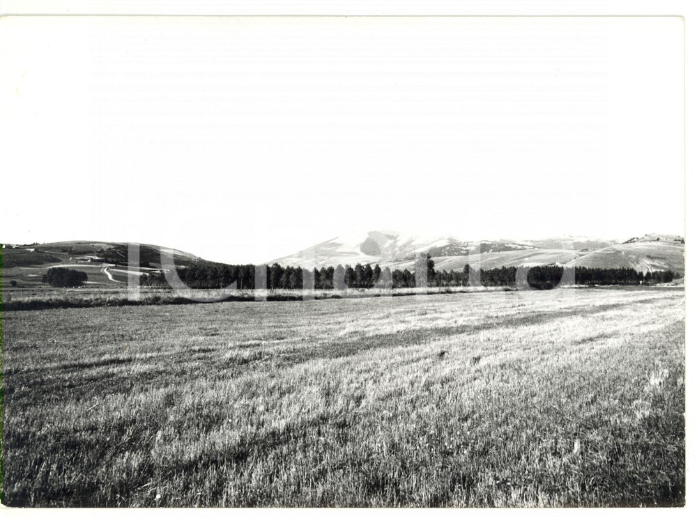 1977 FOLIGNO - COLFIORITO (PG) Veduta di un paesaggio agreste *Foto VINTAGE 
