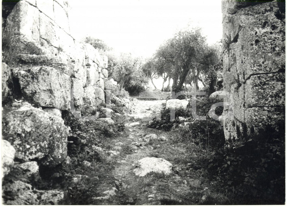 Fotografia d epoca originale 1979 COSA GR Scavi archeologici  Resti della porta romana Fotografia 18x13 1
