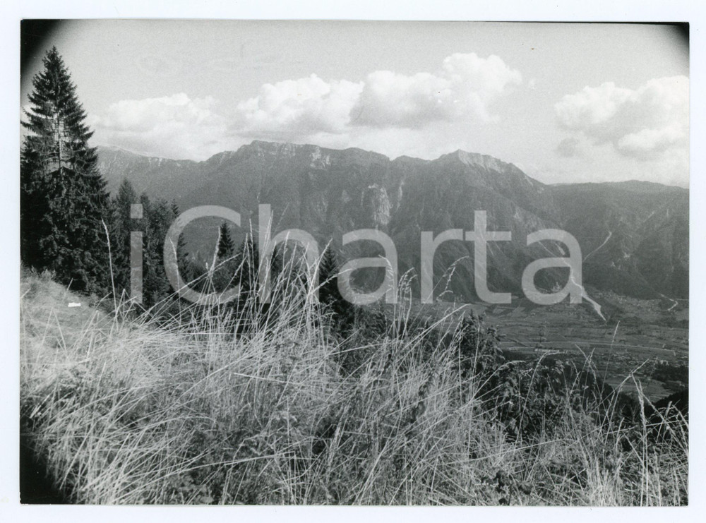 1982 TRENTINO ALTO ADIGE Panorama tra Levico e Vetriolo - Foto 17x13 cm