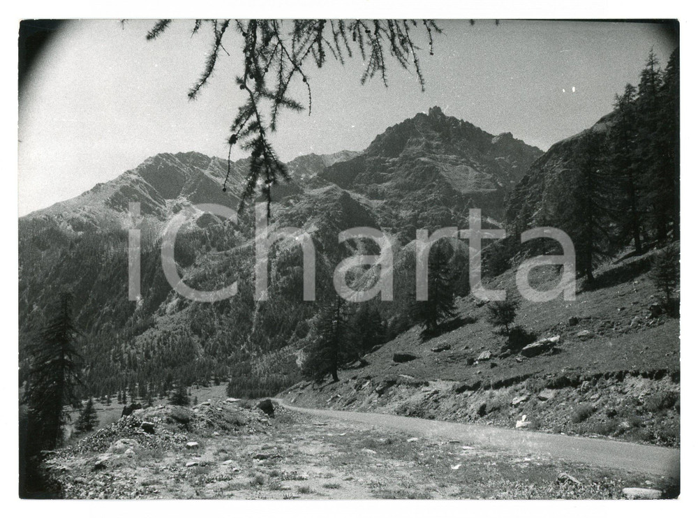 Fotografia d epoca originale 1981 ALPI COZIE Verso il Colle dell Agnello  Foto 17x13 cm 1