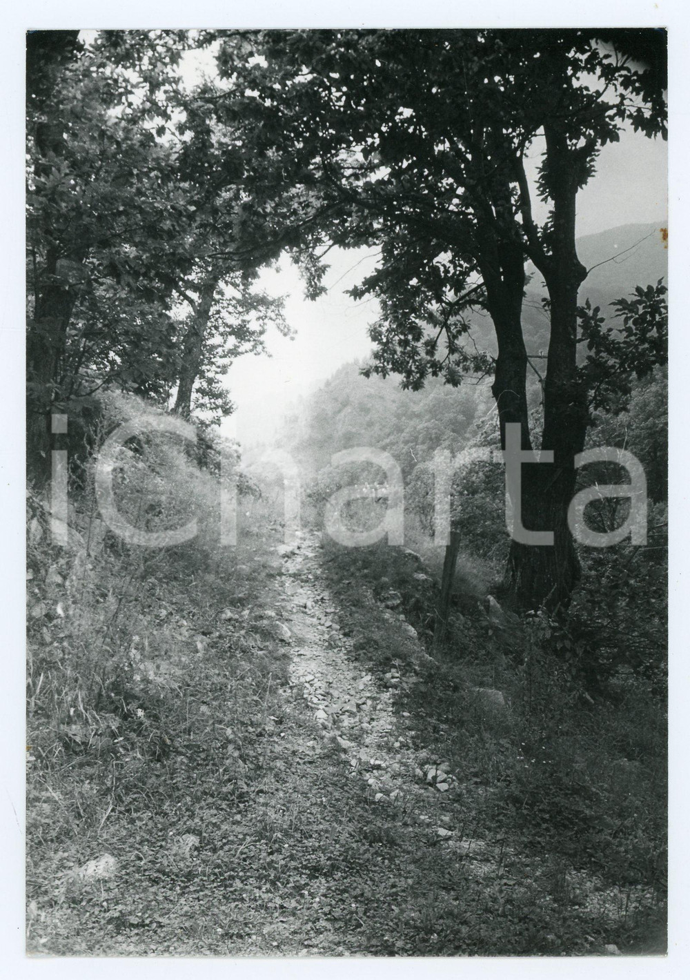 Fotografia d epoca originale 1981 VAL CORSAGLIA CN Veduta con sentiero  Foto 13x17 cm 1